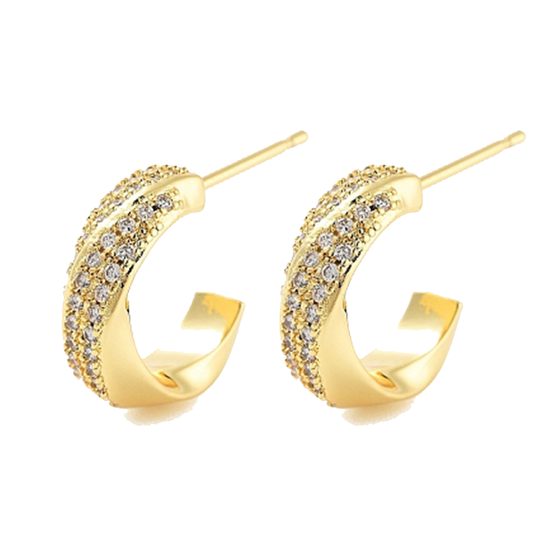 Twist Hoops
