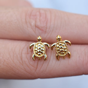 Turtle Stud Earrings