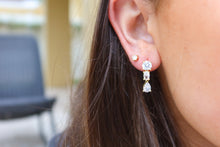 Load image into Gallery viewer, Fanciful Dangle Earrings
