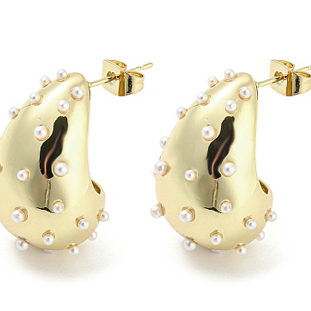 Charlotte earrings