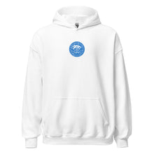 Load image into Gallery viewer, Vintage Logo Embroidered Hoodie

