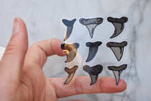 Load image into Gallery viewer, Shark Teeth Clear Sticker

